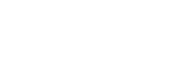 WordPress logo 2